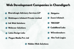list of web development companies in chandigarh