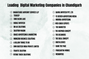 leading digital marketing companies in Chandigarh