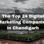 top 24 digital marketing companies in chandigarh