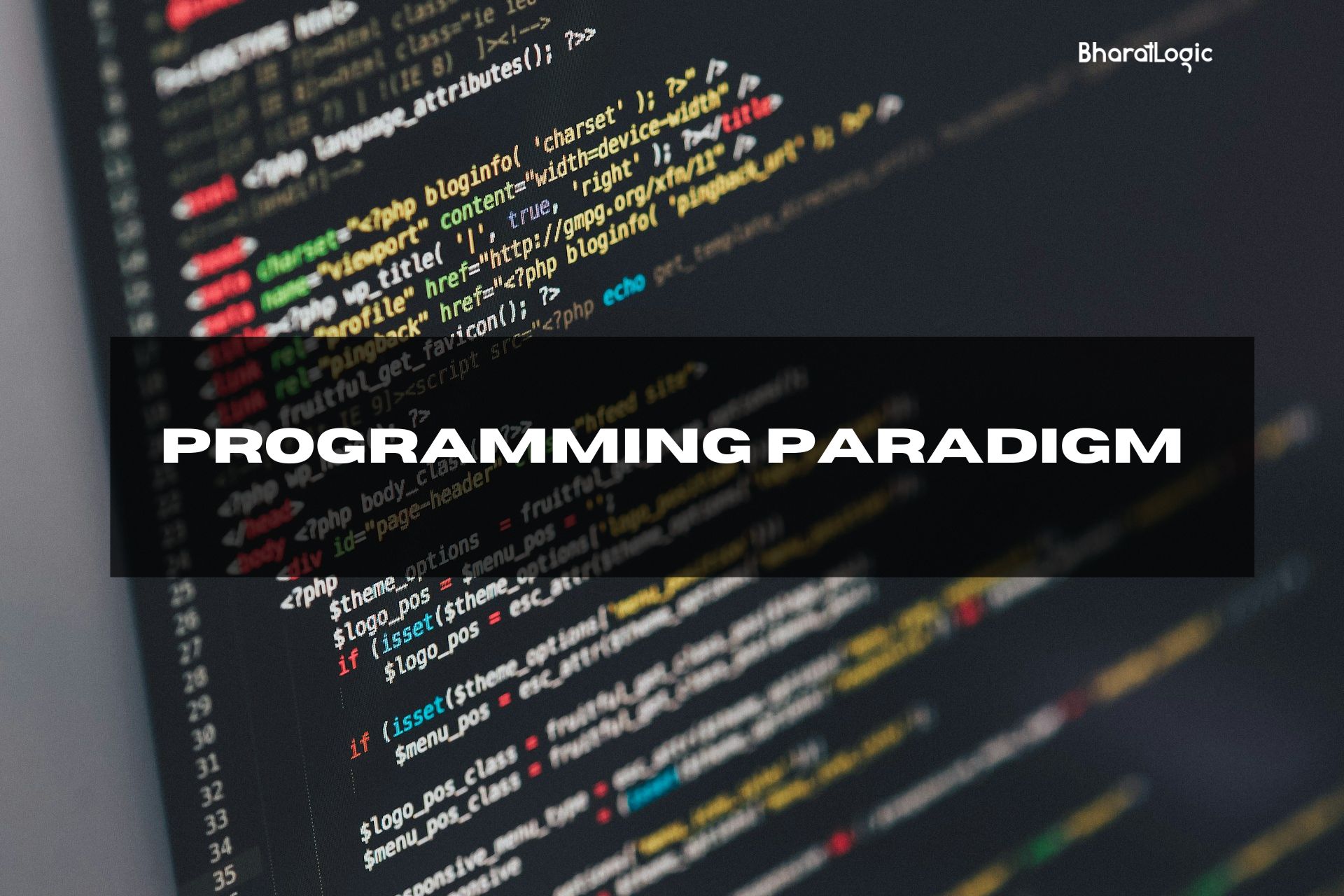 programming paradigm